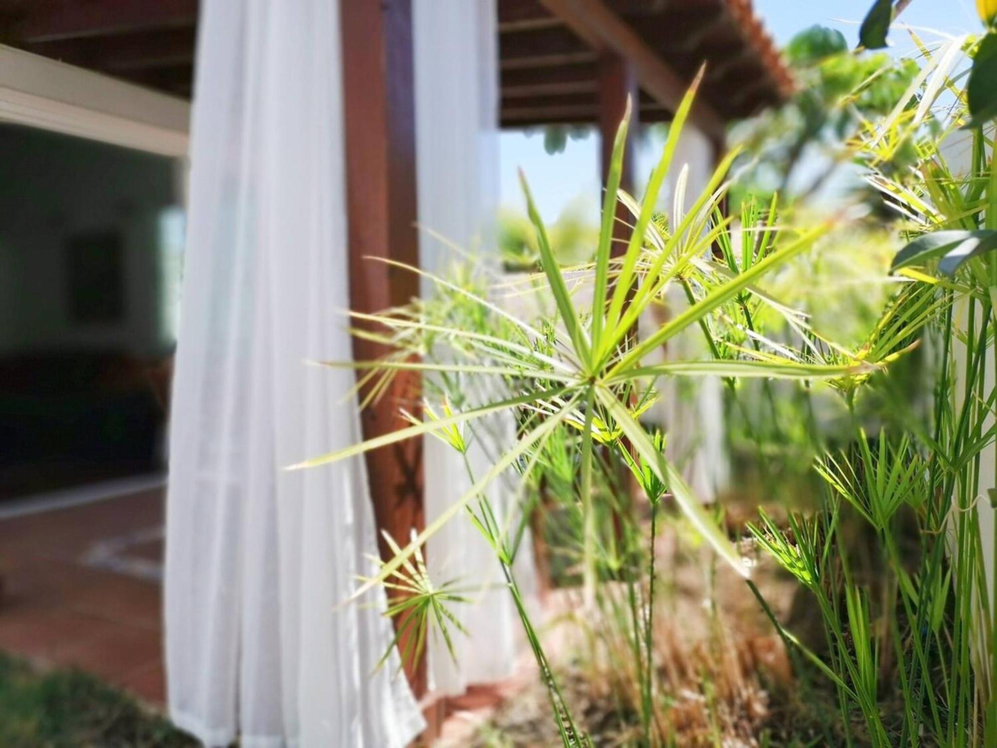 Los Porches D40 By Pride Holiday Rentals San Bartolomé 외부 사진